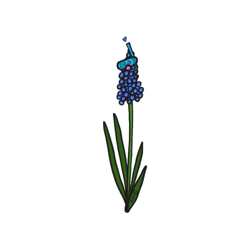 Handgetekende bloemenillustratie door Marretjes